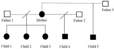 Case Report: Potocki-Lupski Syndrome in Five Siblings